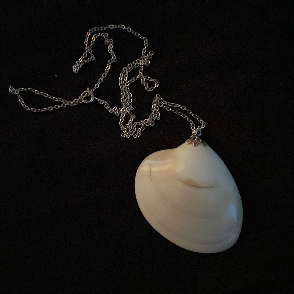 Polished shell on a silver chain